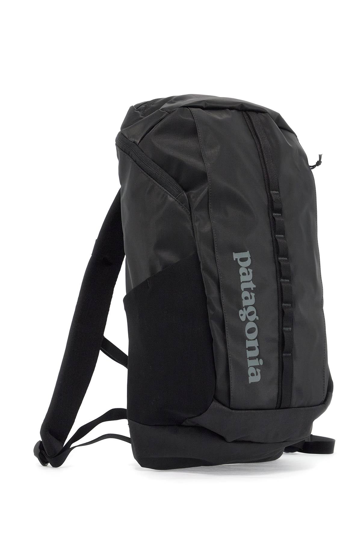 Patagonia Black HoleÃ¢Â® 25L