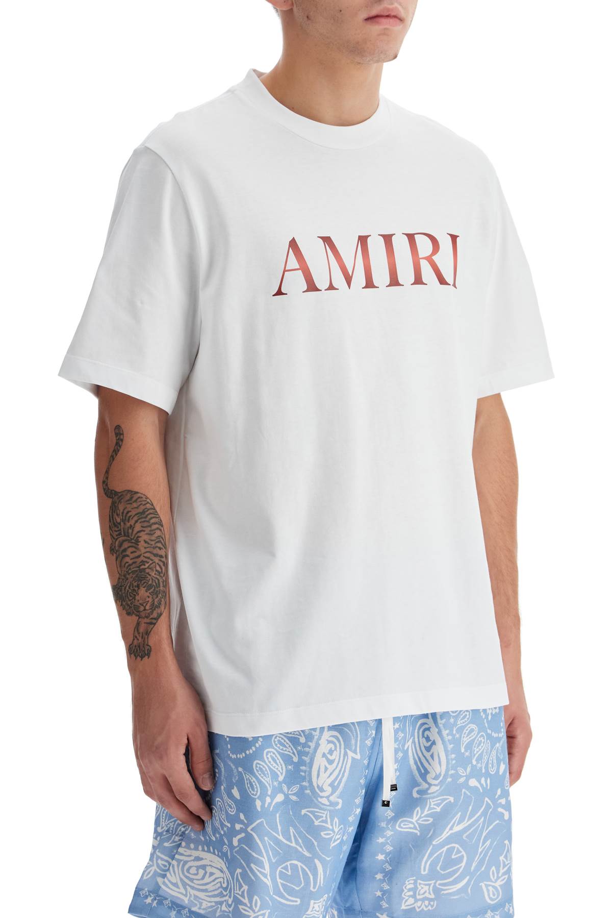 Amiri Amiri Core Gradient T-Shirt