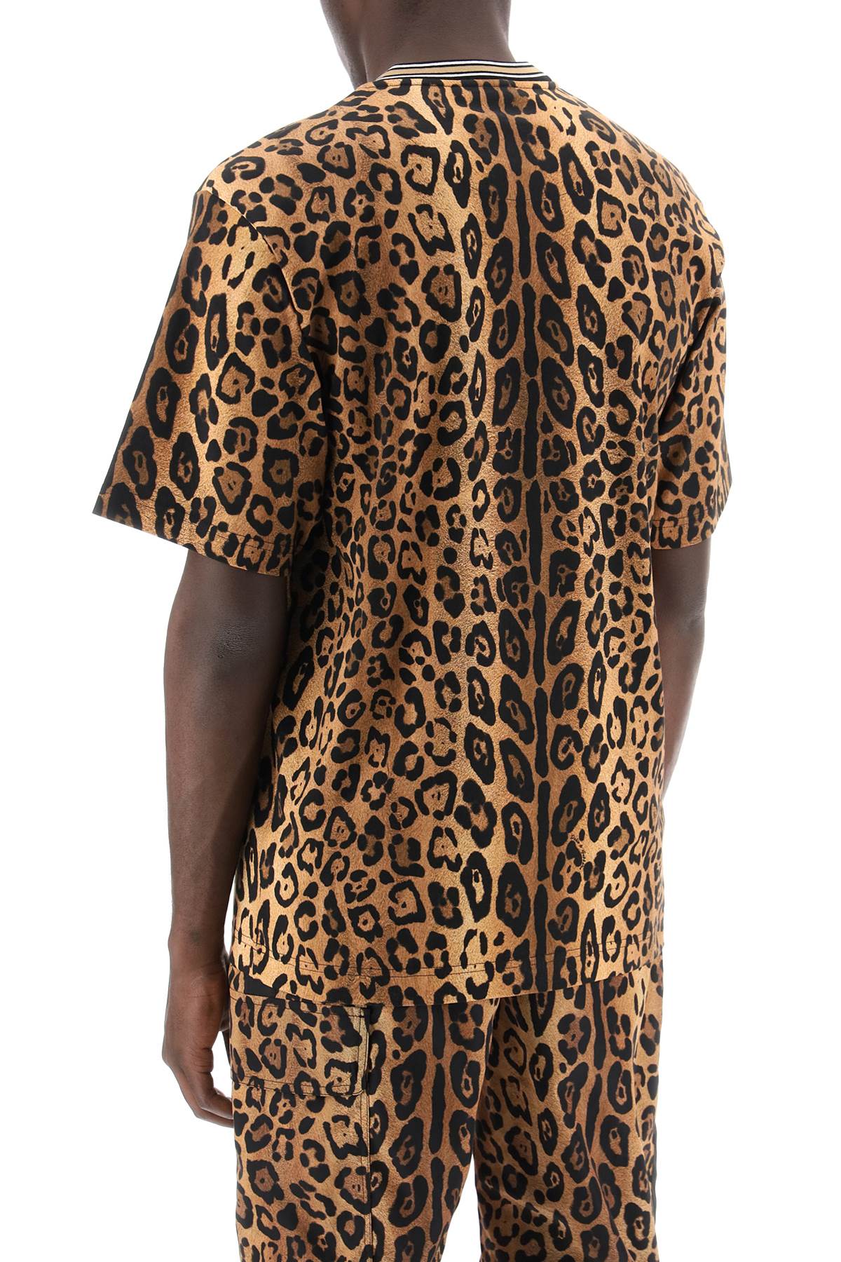 Dolce & Gabbana Leopard Print T-Shirt With