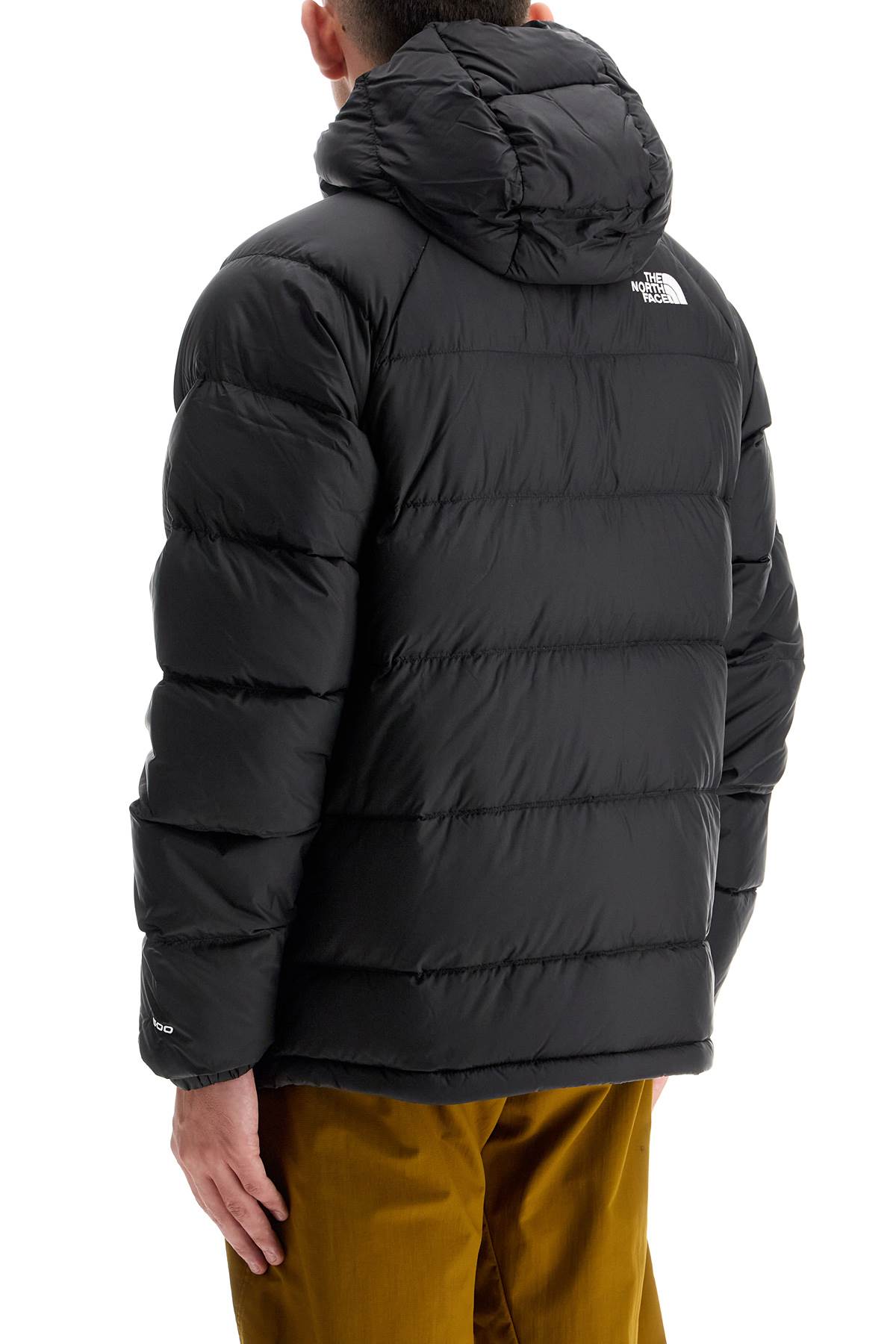 The North Face Hydrenalite Hooded