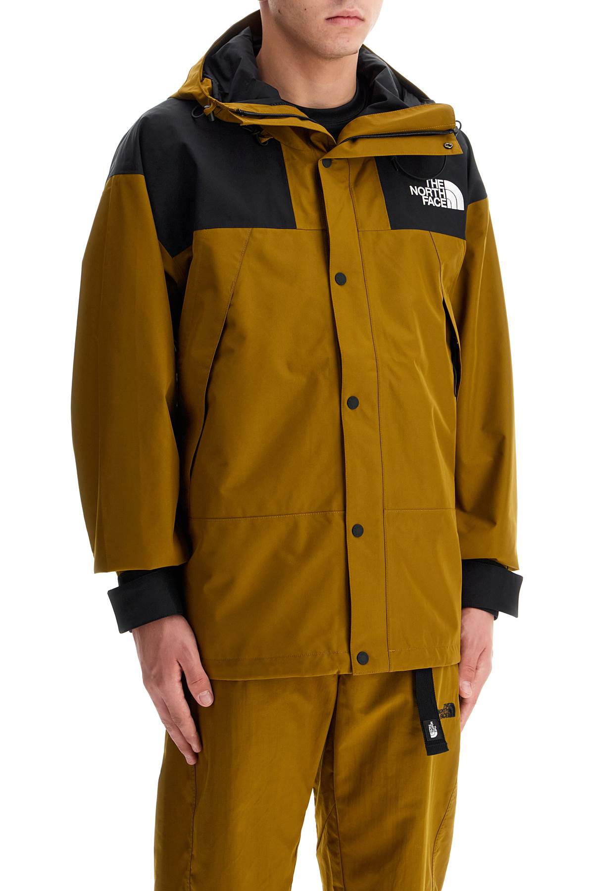 The North Face Mountain Gore-Tex Jacket