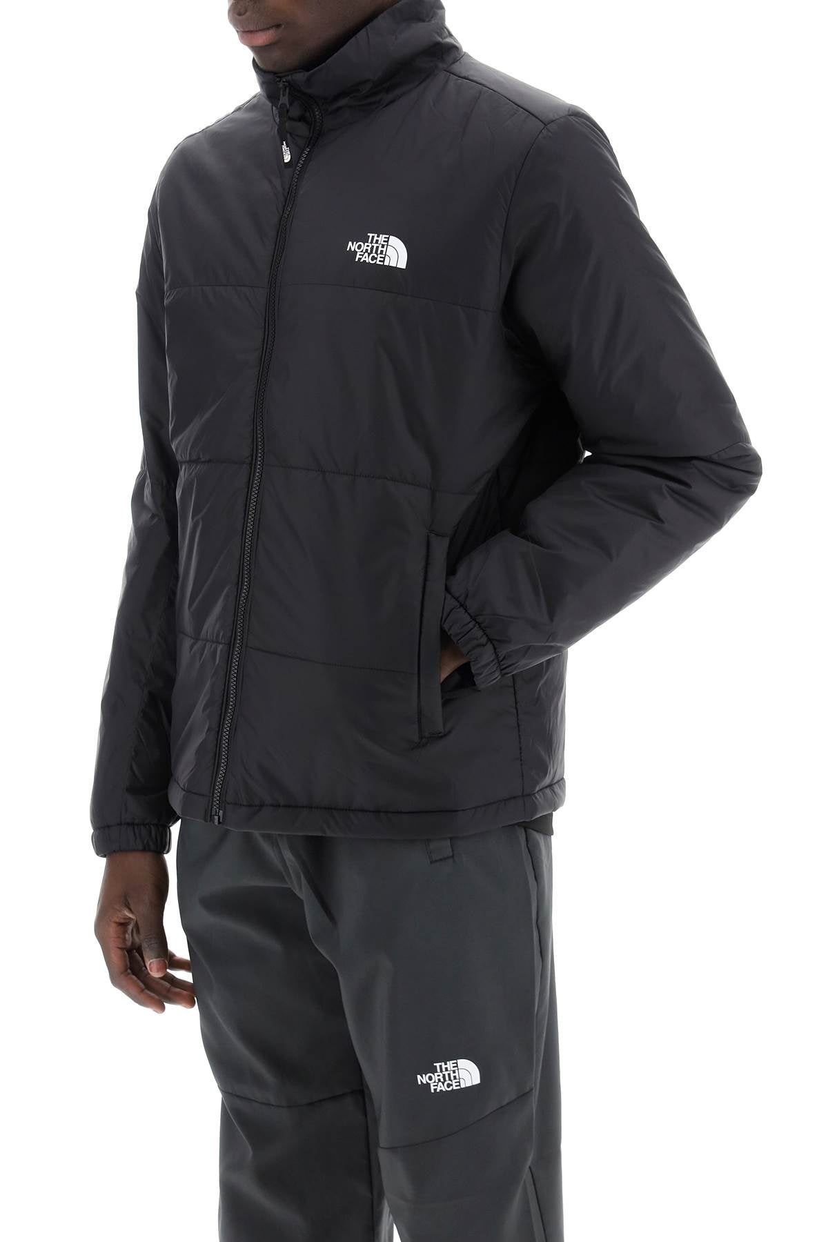 THE NORTH FACE Piumino Leggero Gosei