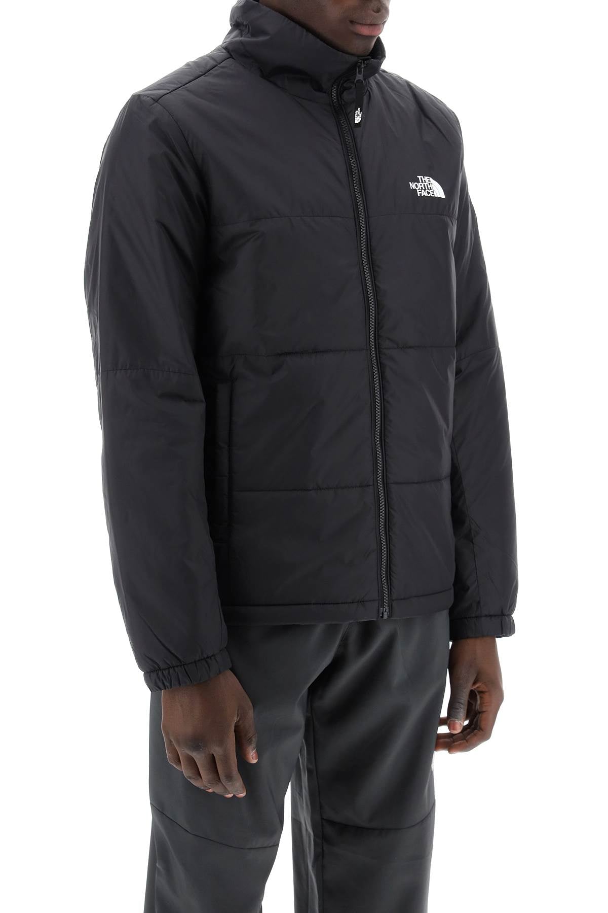 THE NORTH FACE Piumino Leggero Gosei